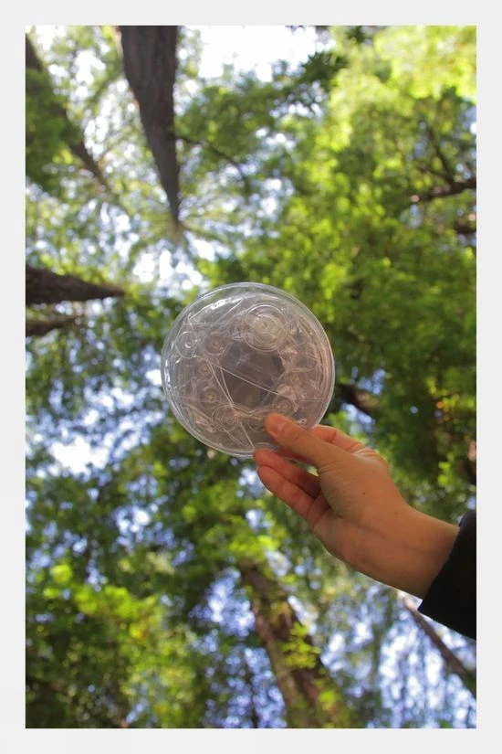 Mpowerd Luci Outdoor 2.0 Lantern 5 Mpowerd Luci Outdoor 2.0 Lantern - Image 5